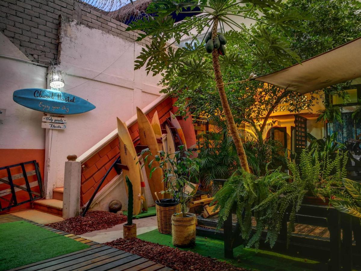 Chaak Hostel Puerto Escondido  Kültér fotó